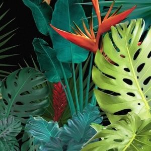 Meet your Posher, Parya